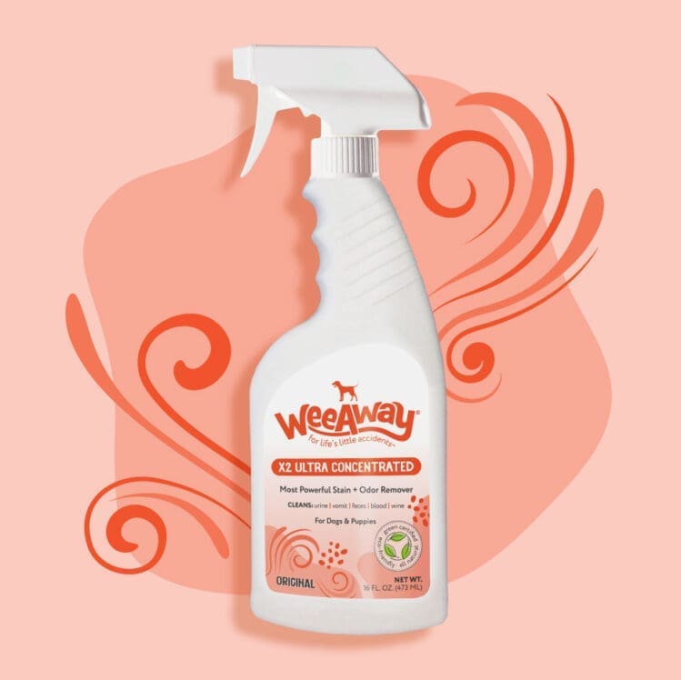 X-2 Stain & odor remover orginal. 16 oz white plastic spray bottle on light red backgroud with illustrated swirls.