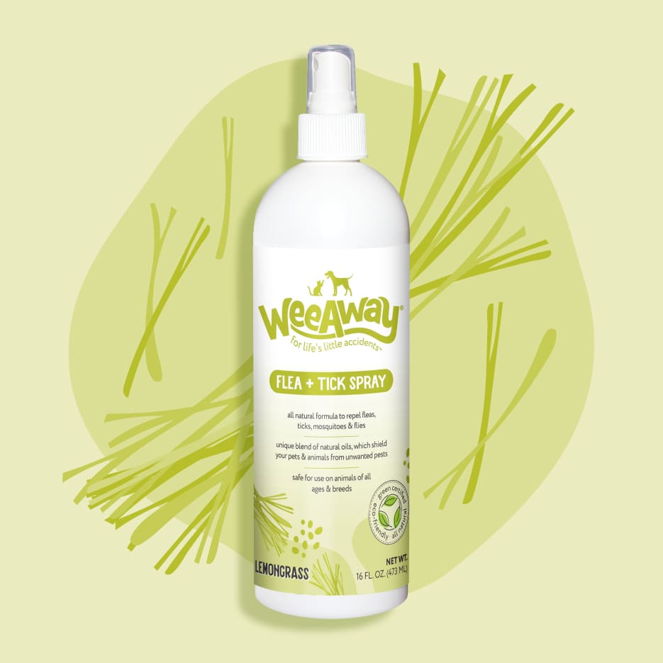 16 oz white plastic bottle with lemongrass colored label w/ black font. Image bacground: two shades of lemongrass plus artistic rendering of lemongrass leaves.