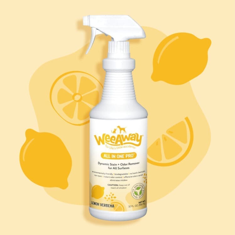 white 16 oz. plastic bottle with yellow label. background is light yellow with lemons.