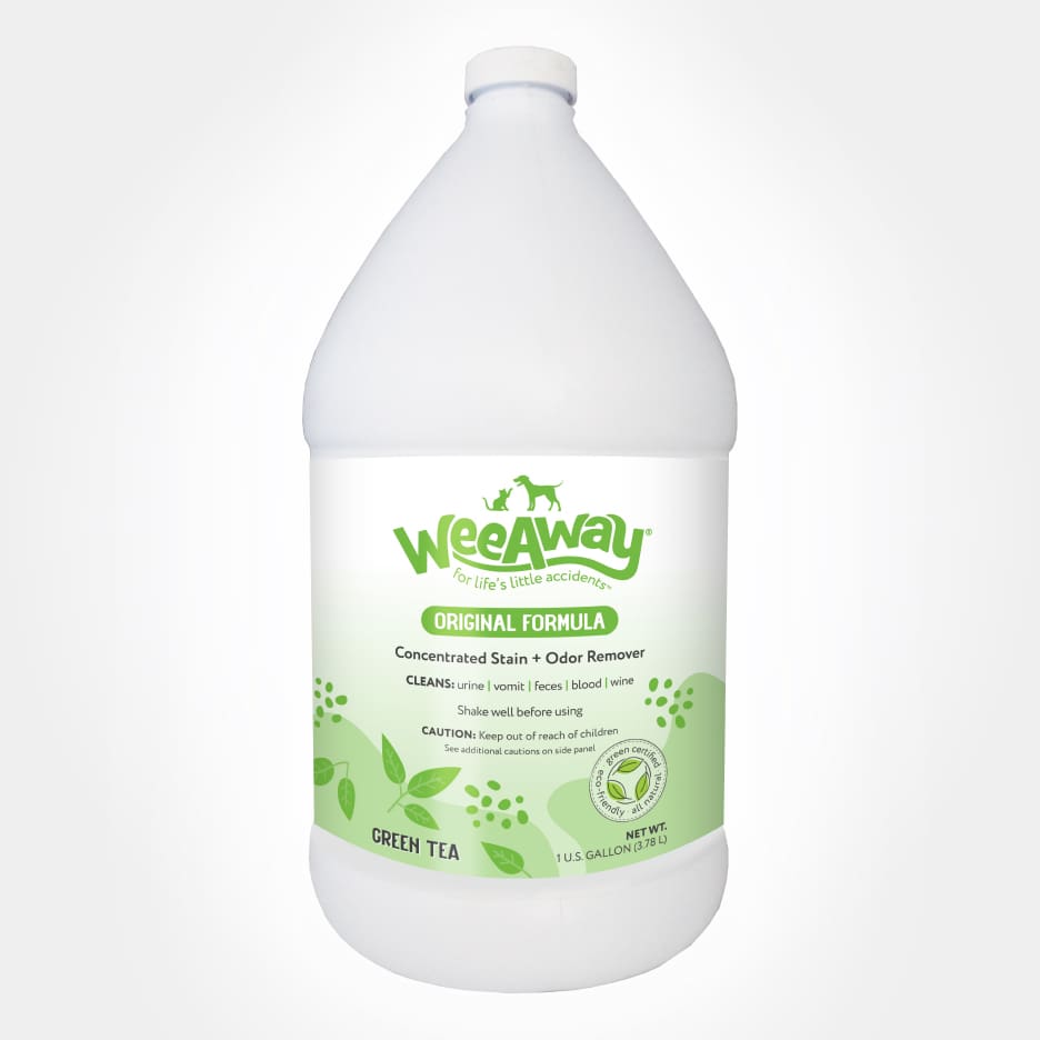 Wee Away Original Formula stain and odor remover for cats in green tea scent 1 gallon jug.