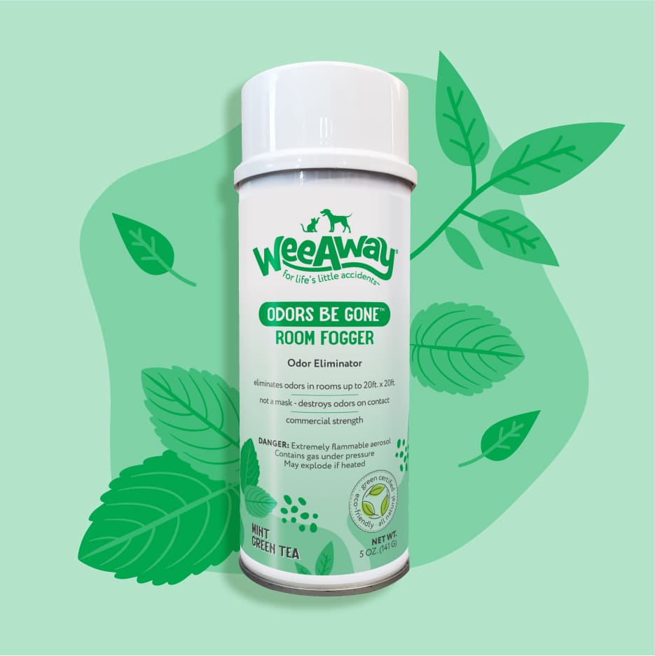 5 oz white can of Wee Away Odors Be Gone room fogger. Mint green background with mint leaves.