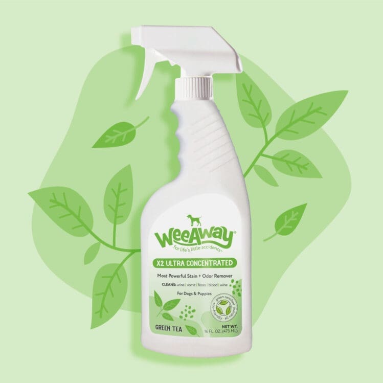 X2 Stain & Odor for Dogs -white 16 oz spray bottle on green backgroud with illutstrated green tea leaves.