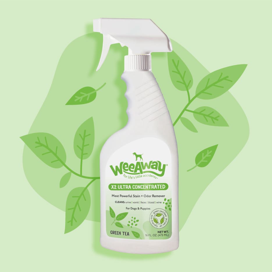 X2 Stain & Odor for Dogs -white 16 oz spray bottle on green backgroud with illutstrated green tea leaves.