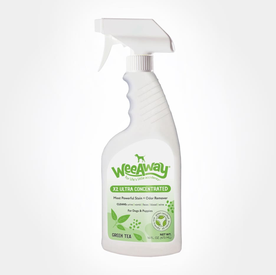 Wee Away X2 Ultra Concentrated stain and odor remover for dogs in green tea scent, 16 oz spray bottle.