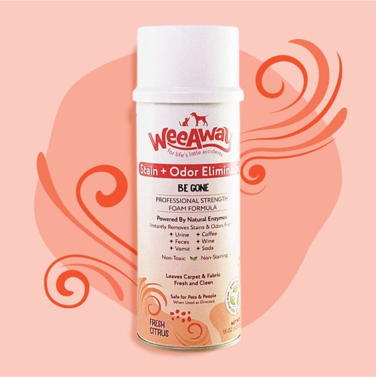 Can of Wee Away Be Gone spray in a fresh citrus scent over an orange background design. Professional strength foam formula, stain and odor eliminator powered by natural enzymes. Use on urine, feces, vomit, coffee, wine, and soda. Leaves carpet and fabric fresh and clean.