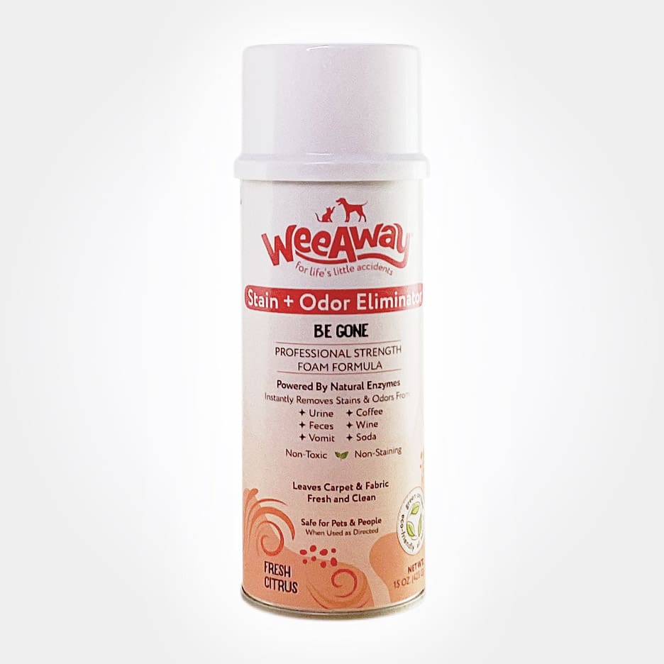 Can of Wee Away Be Gone spray in a fresh citrus scent over a white background. Professional strength foam formula, stain and odor eliminator powered by natural enzymes. Use on urine, feces, vomit, coffee, wine, and soda. Leaves carpet and fabric fresh and clean.