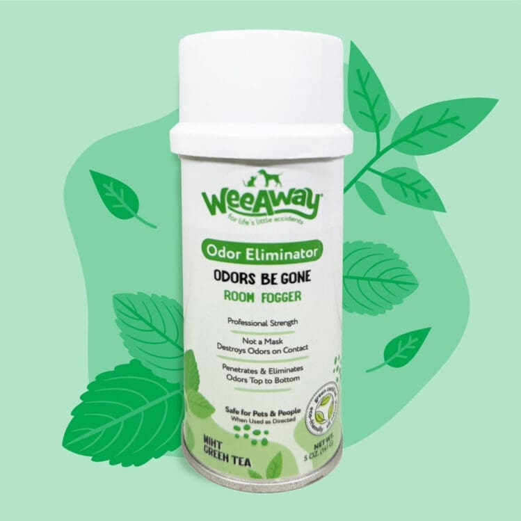 Wee Away Odors Be Gone odor eliminator room fogger in Mint Green Tea Scent over an illustrative background with tea leaves.