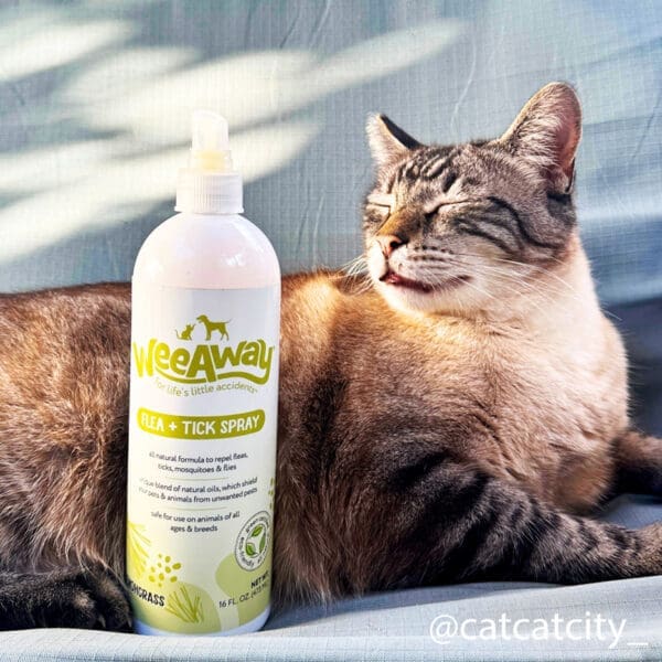 A brown cat relaxing in the sun next to a bottle of Wee Away Flea and Tick Spray in the Lemongrass scent.
