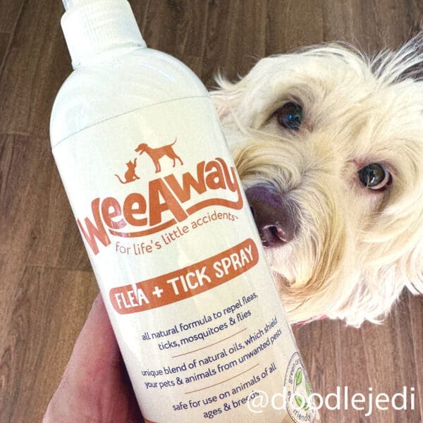 @doodlejedi dog sniffing a spray bottle of Wee Away Flea and Tick spray held by its owner.