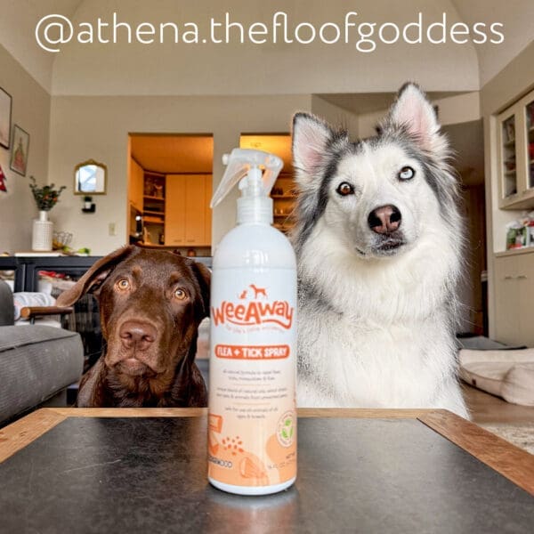Flea & Tick Spray, Cedarwood Scent - Image 6